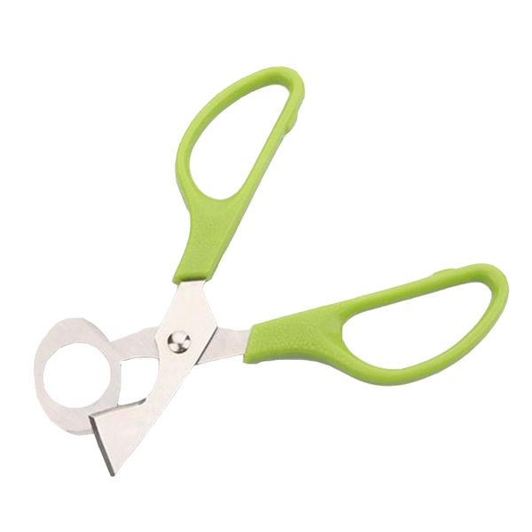 pigeon перепелиные яйца scissor птица cutter открывалка яйцо слайсеры домохозяйка инструмент clipper аксессуары гаджеты для кухни
pigeon перепелиные яйца scissor птица cutter открывалка яйцо слайсеры домохозяйка инструмент clipper аксессуары гаджеты для кухни