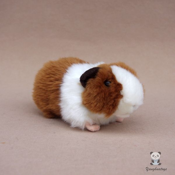 soft hamster doll stuffed animal toy real life guinea pig dolls toys birthday present
soft hamster doll stuffed animal toy real life guinea pig dolls toys birthday present