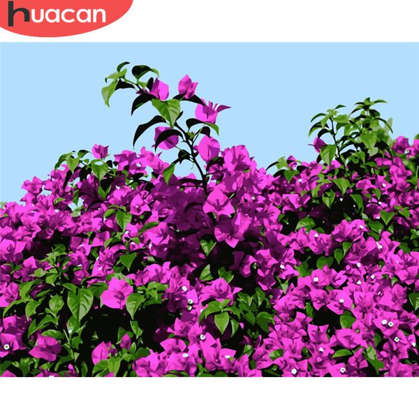 huacan flower paint by number drawing on canvas handpainted painting art gift diy pictures coloring by number kits home decor
huacan flower paint by number drawing on canvas handpainted painting art gift diy pictures coloring by number kits home decor