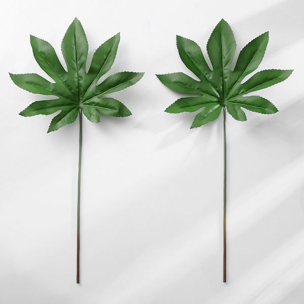 simulation leaves anise gold plate plant leaf floral accessories taken home decoration lierre artificiel fake succulents bitki
simulation leaves anise gold plate plant leaf floral accessories taken home decoration lierre artificiel fake succulents bitki