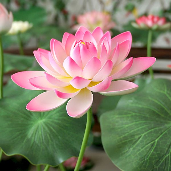 1 букет искусственные пластиковые лотос вода lilys шелковые цветы листья пруда растения украшение сада главная vase arrangment table hotel d
1 букет искусственные пластиковые лотос вода lilys шелковые цветы листья пруда растения украшение сада главная vase arrangment table hotel d