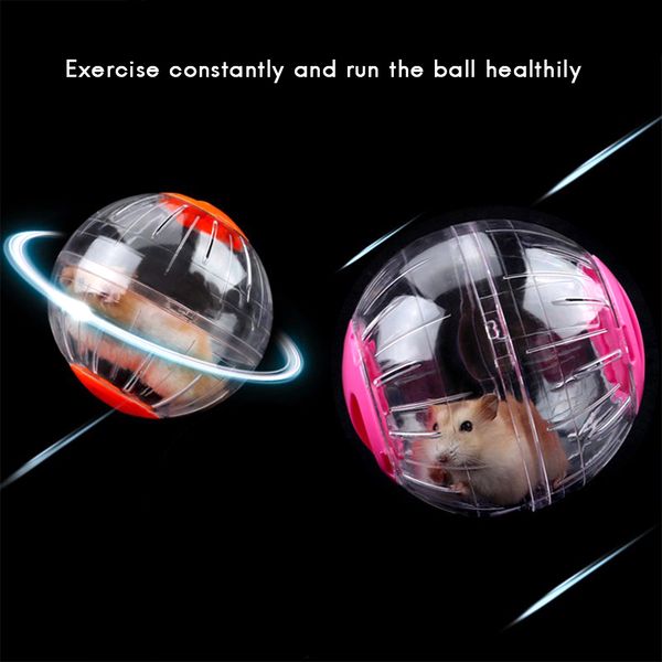 plastic pet round ball animal hamster mice toy transparent hamster ball dog special toy ball small animals cage accessories
plastic pet round ball animal hamster mice toy transparent hamster ball dog special toy ball small animals cage accessories