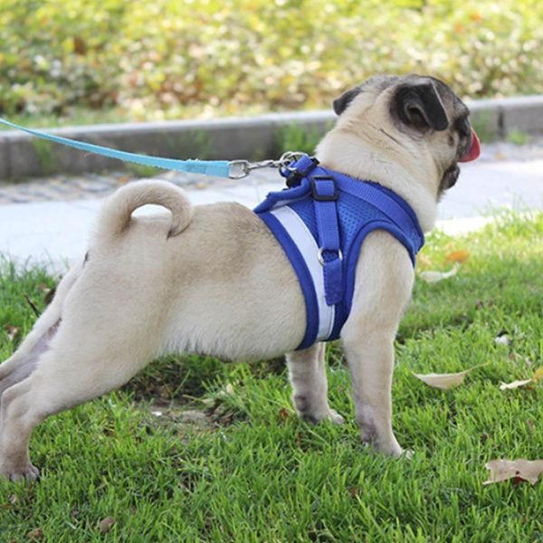 dog cat harness pet adjustable reflective vest walking lead leash for puppy polyester mesh harness for small medium dog
dog cat harness pet adjustable reflective vest walking lead leash for puppy polyester mesh harness for small medium dog