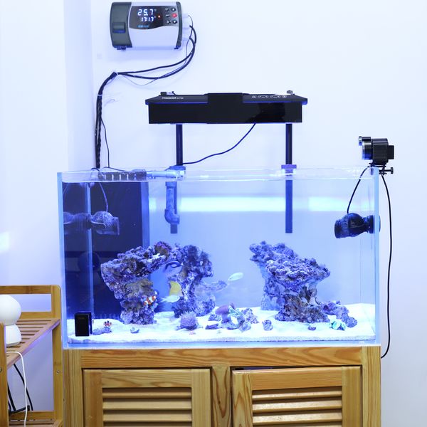 convenient automatic feeder for fish shrimp turtle tank auto feeding equipment auto fish feeder timer food feeding
convenient automatic feeder for fish shrimp turtle tank auto feeding equipment auto fish feeder timer food feeding