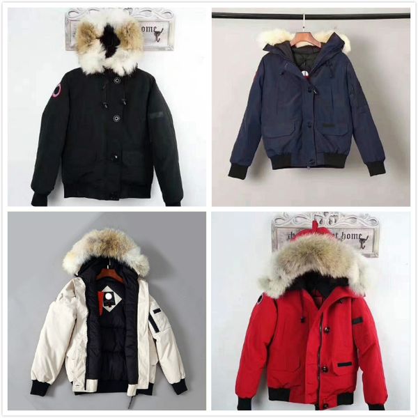 canada women down jacket chilliwack bomber series goose down jacket short brand winter jacket fashion women winter coat, Black
canada women down jacket chilliwack bomber series goose down jacket short brand winter jacket fashion women winter coat, Black