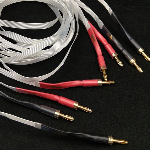 one pair hifi 40 core silver audiophile teflon speaker cable with gold plated spade / banana plugs
one pair hifi 40 core silver audiophile teflon speaker cable with gold plated spade / banana plugs