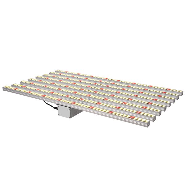 2020 ама поледн водођойива конѬђки 900w 12bars полнй пекѬ samsung ионик 
2020 ама поледн водођойива конѬђки 900w 12bars полнй пекѬ samsung ионик