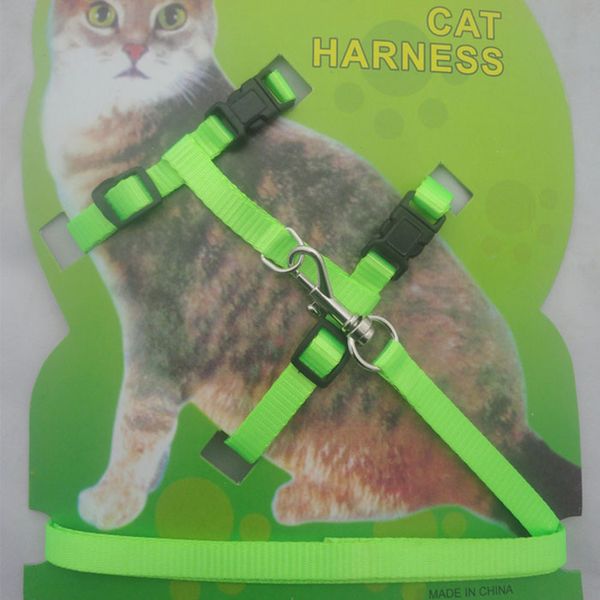 durable cat handheld home pet accessories outdoor walking camping travel dog puppy traction belt
durable cat handheld home pet accessories outdoor walking camping travel dog puppy traction belt