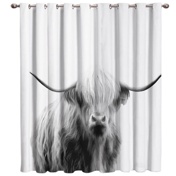 black and white hand painted cut highland cattle portraits room curtains large window curtain rod kitchen drapes decor kids curt
black and white hand painted cut highland cattle portraits room curtains large window curtain rod kitchen drapes decor kids curt