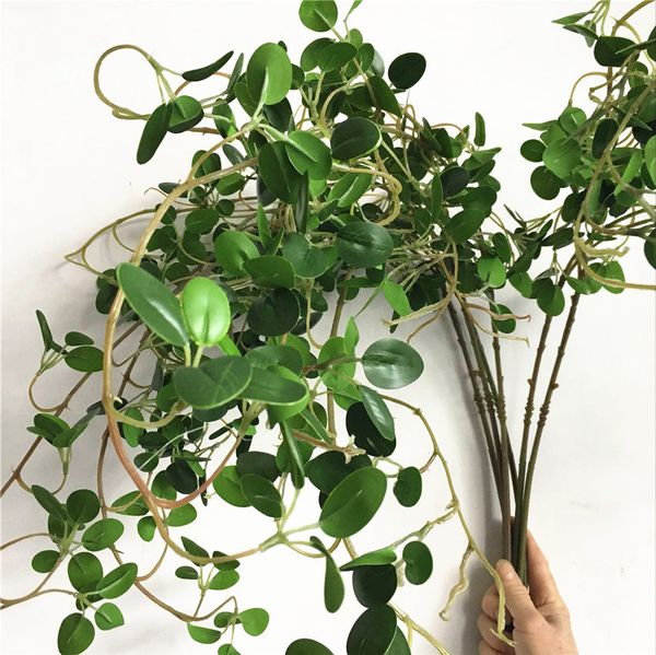 6pcs real touch wall hanging ficus tree branches plastic artificial plants green leaves wedding decoration faux foliage flores
6pcs real touch wall hanging ficus tree branches plastic artificial plants green leaves wedding decoration faux foliage flores