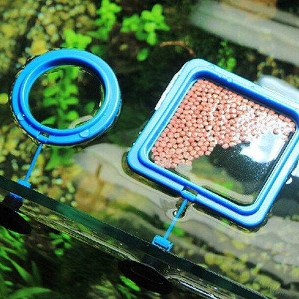 aquarium feeding ring plastic fish tank station floating food tary feeder square/circle
aquarium feeding ring plastic fish tank station floating food tary feeder square/circle