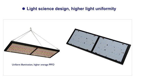 amazon indoor gardening 660nm lm301b 561c quantum board plant lamp sells well across the border and is well received by users
amazon indoor gardening 660nm lm301b 561c quantum board plant lamp sells well across the border and is well received by users