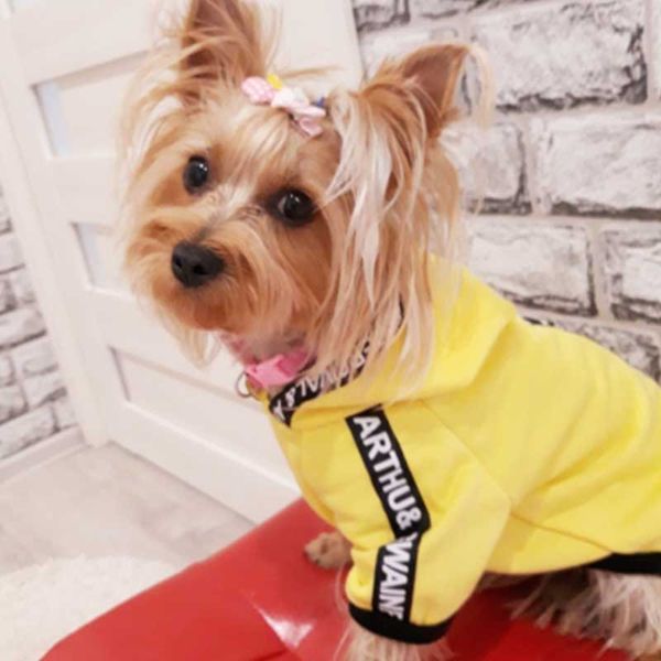 fashion dog clothes spring pets dogs clothing for small medium dogs costume leisure dog hoodie chihuahua puppy outfit ropa perro
fashion dog clothes spring pets dogs clothing for small medium dogs costume leisure dog hoodie chihuahua puppy outfit ropa perro