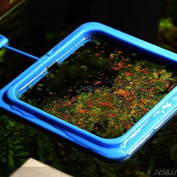 feeding ring aquarium fish tank station floating food tary feeder square/circle dropship
feeding ring aquarium fish tank station floating food tary feeder square/circle dropship
