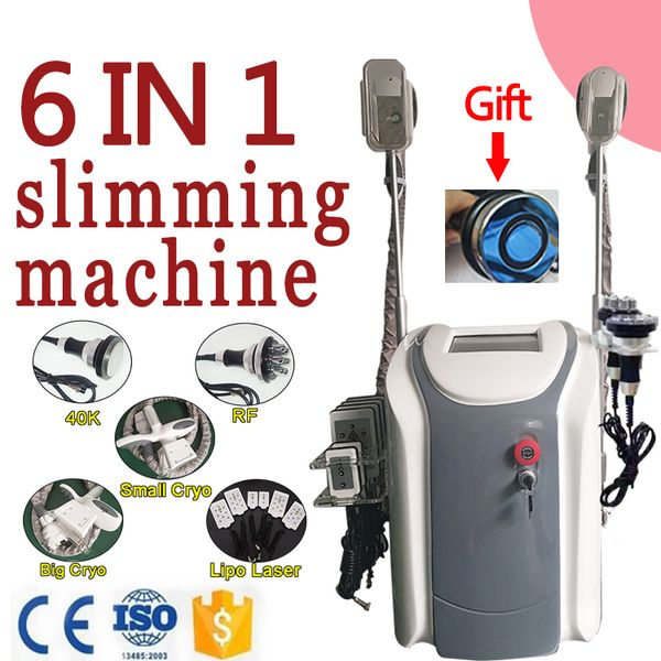 cryolipolysis slimming machine fat ing machine cryotherapy slimming cavitation rf lipo laser weight loss machine
cryolipolysis slimming machine fat ing machine cryotherapy slimming cavitation rf lipo laser weight loss machine