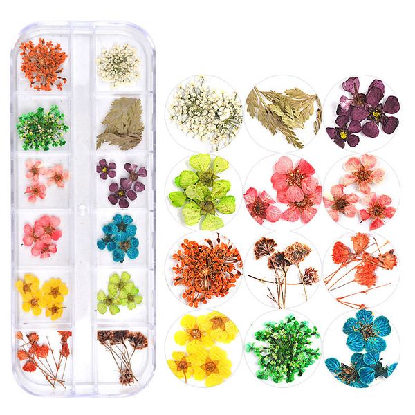 mix dried flowers nail decorations jewelry natural floral leaf stickers 3d nail art designs polish manicure accessories, Silver;gold
mix dried flowers nail decorations jewelry natural floral leaf stickers 3d nail art designs polish manicure accessories, Silver;gold