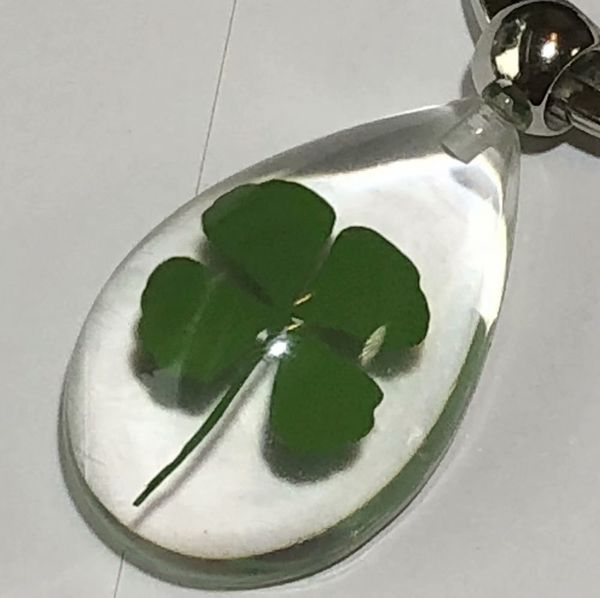 yqtdmy 12 pcs fashion shamrock four leaf clover lucid drop style keychain, Slivery;golden
yqtdmy 12 pcs fashion shamrock four leaf clover lucid drop style keychain, Slivery;golden
