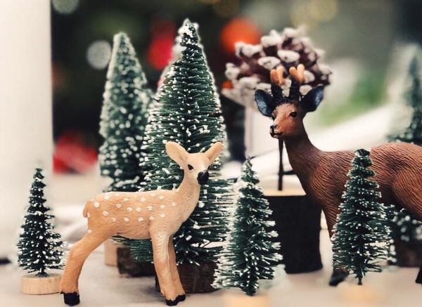 100pcs christmas tree arbol de navidad new year's products mini christmas tree adornos de navidad para casa choinka sztuczna
100pcs christmas tree arbol de navidad new year's products mini christmas tree adornos de navidad para casa choinka sztuczna
