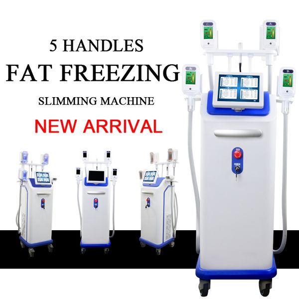 professional weight loss slimming machine beauty equipment reduce cellulite cryotherapy system face lifting fat ing cryolipolysis
professional weight loss slimming machine beauty equipment reduce cellulite cryotherapy system face lifting fat ing cryolipolysis