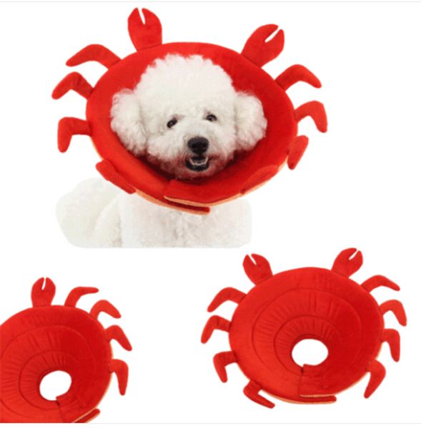 sales wholesales crab recovery elizabethan collar pet anti-biting ring collars protective wound
sales wholesales crab recovery elizabethan collar pet anti-biting ring collars protective wound