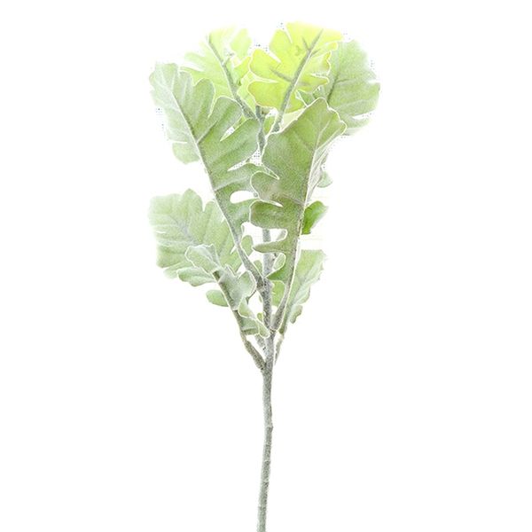 6pcs/lot artificial dusty miller plants wedding decoration fake plants plastic greenery diy artificial grass
6pcs/lot artificial dusty miller plants wedding decoration fake plants plastic greenery diy artificial grass