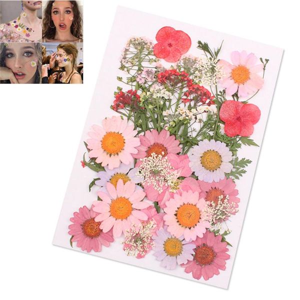 1 bag dried flowers decor party diy art floral decors flower mixed organic dried flowers collection gift drop shipping
1 bag dried flowers decor party diy art floral decors flower mixed organic dried flowers collection gift drop shipping