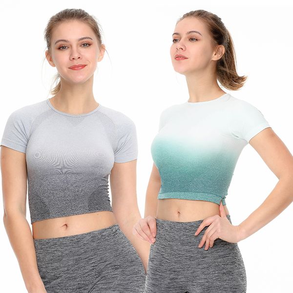 women seamless fitness gradient yoga sports sweater short sleeves t-shirt and leggings pants 2 piece set women fitness clothing, White;red
women seamless fitness gradient yoga sports sweater short sleeves t-shirt and leggings pants 2 piece set women fitness clothing, White;red
