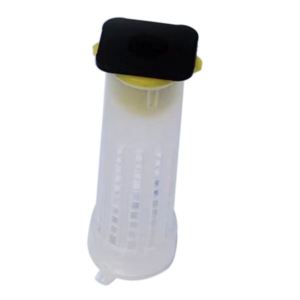 10pc beekeeping tools plastic bee queen cage cell protector cages protective cover for queen protective cover beekeeping tools other garden
10pc beekeeping tools plastic bee queen cage cell protector cages protective cover for queen protective cover beekeeping tools other garden