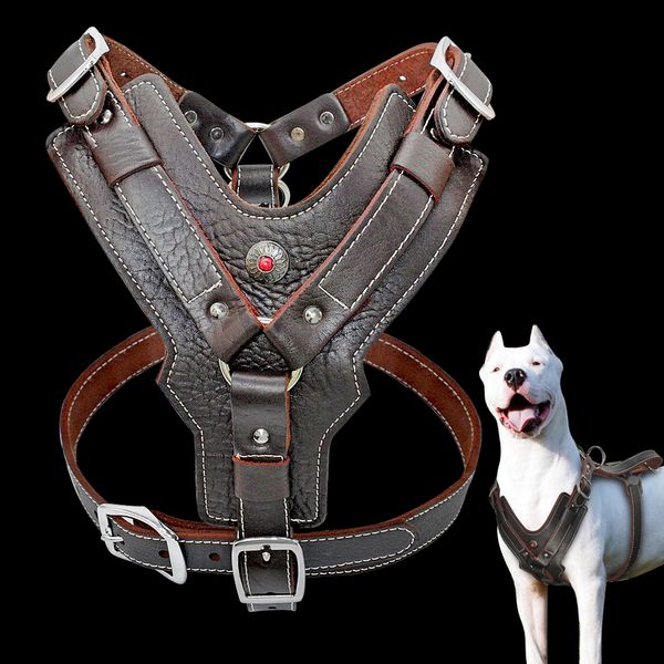 genuine leather dog harness for large dogs pet training vest with quick control handle adjustable for labrador pitbull k9
genuine leather dog harness for large dogs pet training vest with quick control handle adjustable for labrador pitbull k9
