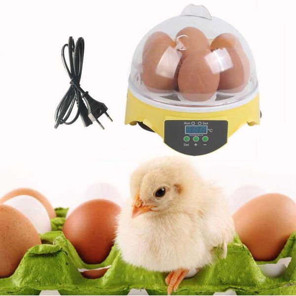 eu plug 7 eggs incubator poultry incubator brooder automatic digital temperature ducks chicken eggs hatcher machine
eu plug 7 eggs incubator poultry incubator brooder automatic digital temperature ducks chicken eggs hatcher machine