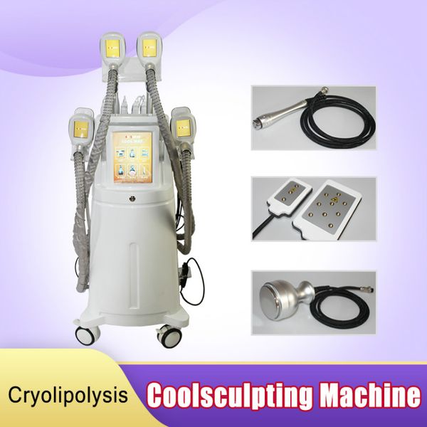vacuum massage & cellulite machine with cryolipolysis cavitation lipo laser rf vacuum body sculpting body vacuum suction machine
vacuum massage & cellulite machine with cryolipolysis cavitation lipo laser rf vacuum body sculpting body vacuum suction machine