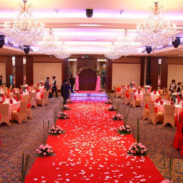 1000pcs artificial silk red rose petals fake rose flower confetti girl toss petal lifelike decorations for wedding party
1000pcs artificial silk red rose petals fake rose flower confetti girl toss petal lifelike decorations for wedding party