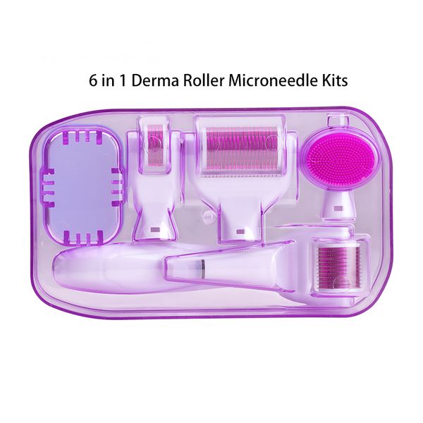 6 in 1 derma roller microneedle kits for multiple skin care rejuvenation treatment needles microdermabrasion rollor beauty machine
6 in 1 derma roller microneedle kits for multiple skin care rejuvenation treatment needles microdermabrasion rollor beauty machine