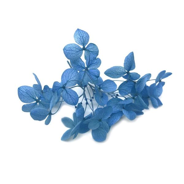 1 коробка сухой цветок diy эпоксидная смола ремесла наполнители ручной работы наполнитель сухих цветов время камень ювелирных изделий стол д
1 коробка сухой цветок diy эпоксидная смола ремесла наполнители ручной работы наполнитель сухих цветов время камень ювелирных изделий стол д