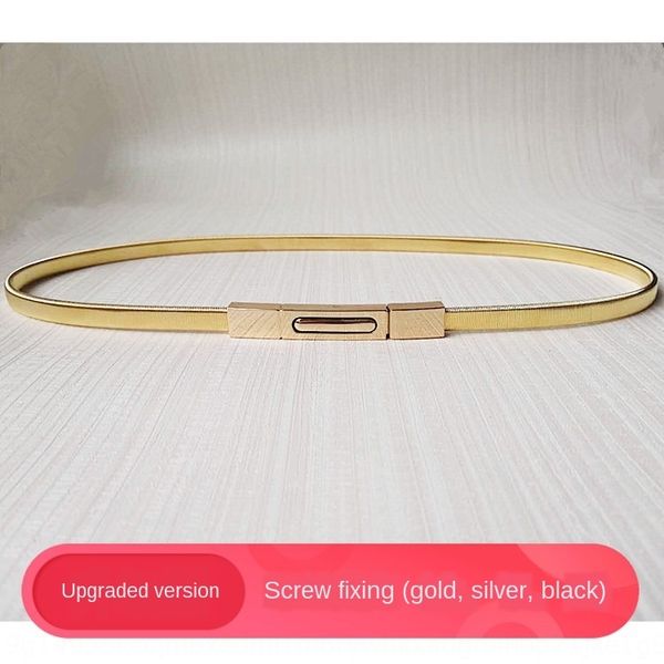 simple style spring type elastic metal waist chain women's decorative thin golden dress dress belt pants, Black;brown
simple style spring type elastic metal waist chain women's decorative thin golden dress dress belt pants, Black;brown