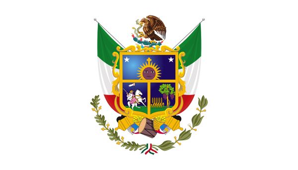150cm*90cm mexico flag queretaro copy flag banner 3*5ft polyester custom decorative hanging home flag for decoration
150cm*90cm mexico flag queretaro copy flag banner 3*5ft polyester custom decorative hanging home flag for decoration