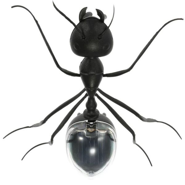 kids toys for boys girls robot kit diy robot car black cute novelty ant insect solar powered toy magic kids educational toy
kids toys for boys girls robot kit diy robot car black cute novelty ant insect solar powered toy magic kids educational toy