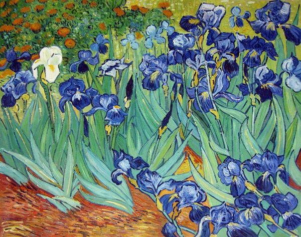 vencent van gogh 501 home decor handcrafts /hd print oil painting on canvas wall art canvas pictures 191124
vencent van gogh 501 home decor handcrafts /hd print oil painting on canvas wall art canvas pictures 191124