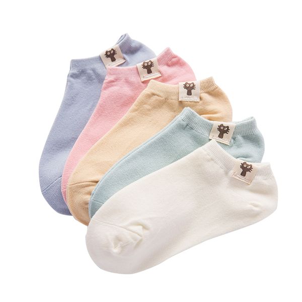 wholesale socks women socks low cut absorbs sweat breathable solid color cotton spring summer autumn womens casual short ankle no show socks, Black;white
wholesale socks women socks low cut absorbs sweat breathable solid color cotton spring summer autumn womens casual short ankle no show socks, Black;white
