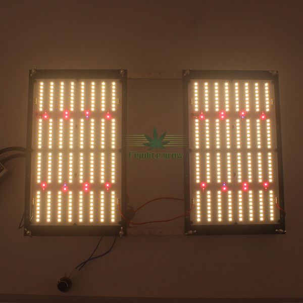 диммируемый turn on / off переключатель для cree xpe уф ик-света борту 240w samsung lm301b / 301h привело светать с meanwell driver
диммируемый turn on / off переключатель для cree xpe уф ик-света борту 240w samsung lm301b / 301h привело светать с meanwell driver