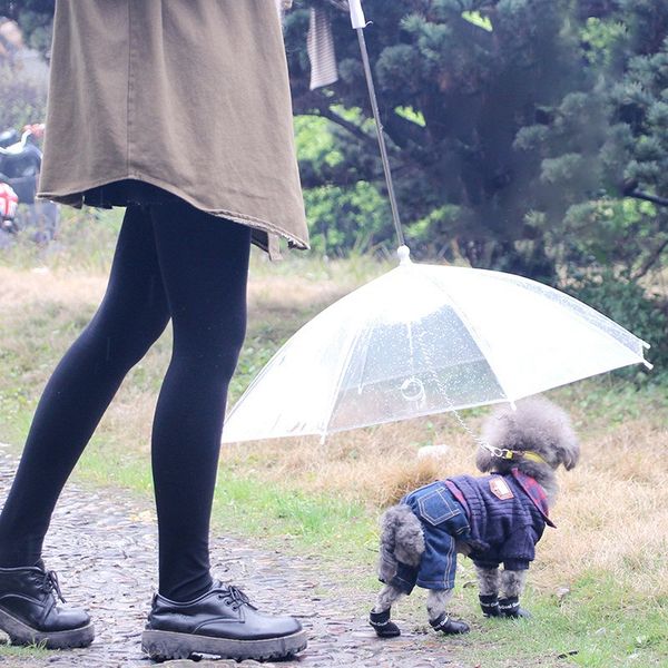 transparent pe pet umbrella small dog puppy umbrella rain gear with dog leads keeps pet travel outdoors supplies fa1929
transparent pe pet umbrella small dog puppy umbrella rain gear with dog leads keeps pet travel outdoors supplies fa1929