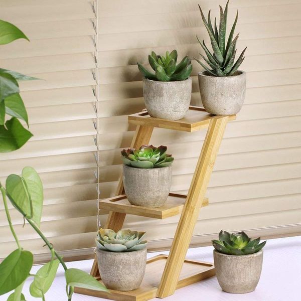 assorted decorative faux succulent artificial succulent cactus fake cacti plants with gray pots, set of 5
assorted decorative faux succulent artificial succulent cactus fake cacti plants with gray pots, set of 5