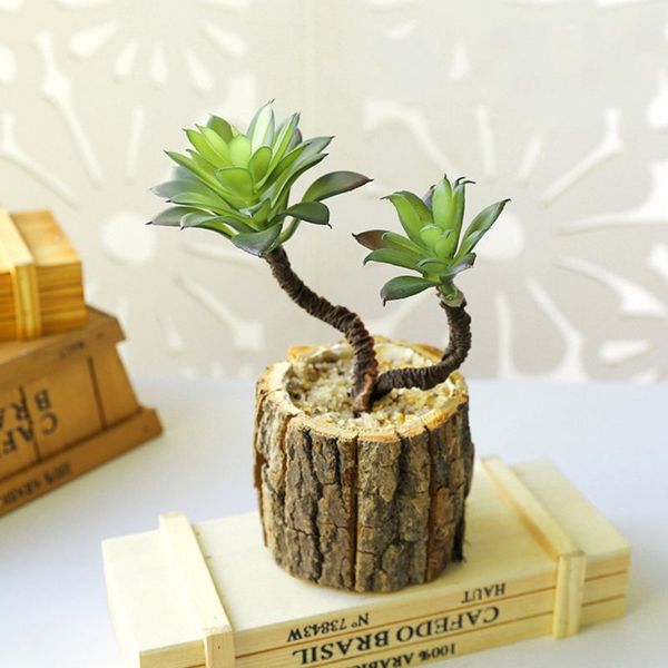 simulative бонсай home decor растения поддельный сочные растения пейзаж цветочная композиция фестиваль дом и сада
simulative бонсай home decor растения поддельный сочные растения пейзаж цветочная композиция фестиваль дом и сада