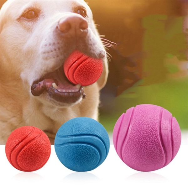 pet dog toys extra-tough rubber ball toy funny interactive elasticity ball dog chew toys for dog tooth cleaning teethbrush balls
pet dog toys extra-tough rubber ball toy funny interactive elasticity ball dog chew toys for dog tooth cleaning teethbrush balls