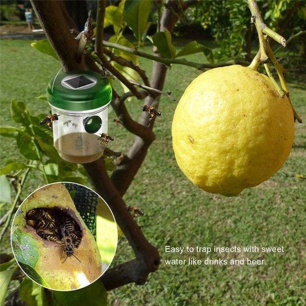 1 pcs wasp trap catcher life outdoor solar powered trap with ultraviolet led other garden supplies
1 pcs wasp trap catcher life outdoor solar powered trap with ultraviolet led other garden supplies