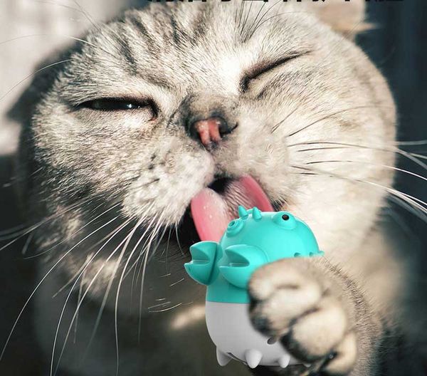 pet molar bite toy multifunction cat biting toys rubber chew ball cleaning teeth safe catnipdental care interactive sounding toy
pet molar bite toy multifunction cat biting toys rubber chew ball cleaning teeth safe catnipdental care interactive sounding toy