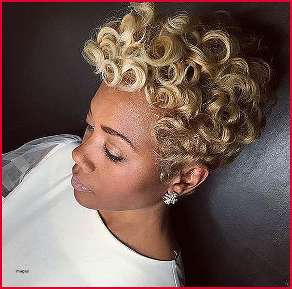 europe and the united states wig small roll short hair black black high temperature silk wig
europe and the united states wig small roll short hair black black high temperature silk wig