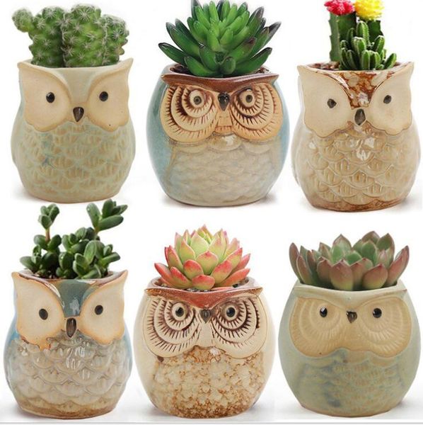 cartoon owl pots 2.5 inch flowing glaze succulent pots owl planter mini ceramic pots small flower/plant/cactus/bonsai container with hole
cartoon owl pots 2.5 inch flowing glaze succulent pots owl planter mini ceramic pots small flower/plant/cactus/bonsai container with hole