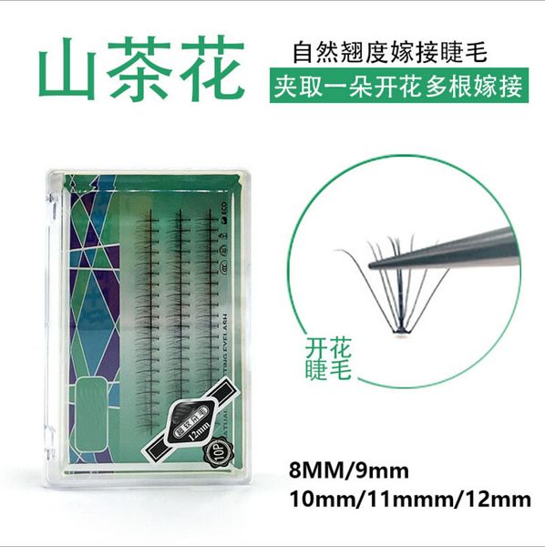 pteris clouds hair 10d mink lashes flat hair individual false eyelash extension thick fake eye lash 8mm to 12 mm
pteris clouds hair 10d mink lashes flat hair individual false eyelash extension thick fake eye lash 8mm to 12 mm
