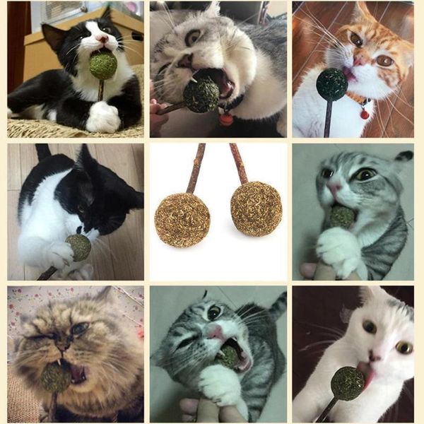 pet cat catnip конфеты игрушки для чистки зубов закуска natural mint болл стик rod игрушка для cat kitten health care cat product with it to
pet cat catnip конфеты игрушки для чистки зубов закуска natural mint болл стик rod игрушка для cat kitten health care cat product with it to